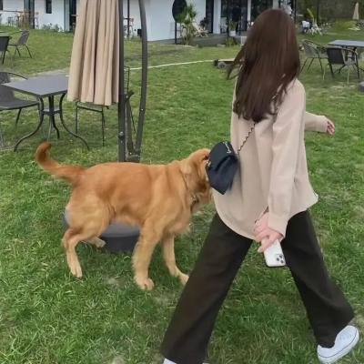 银幕大角头